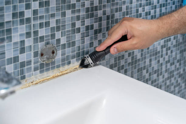 Best Home Mold Removal  in Ardmore, OK