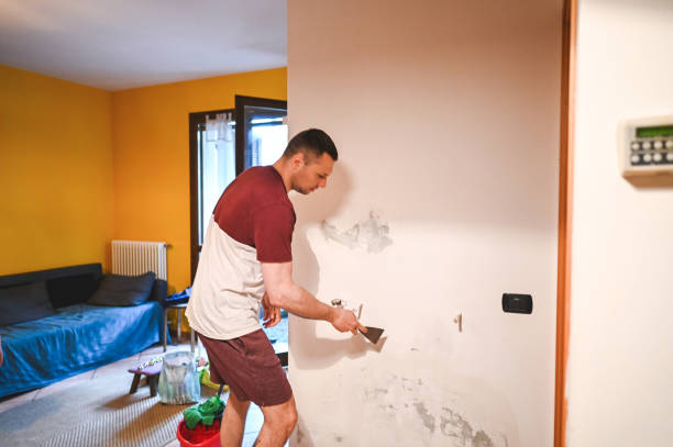 Best Affordable Mold Removal  in Ardmore, OK
